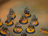 Pig Iron 28mm marines  (15 of 18)